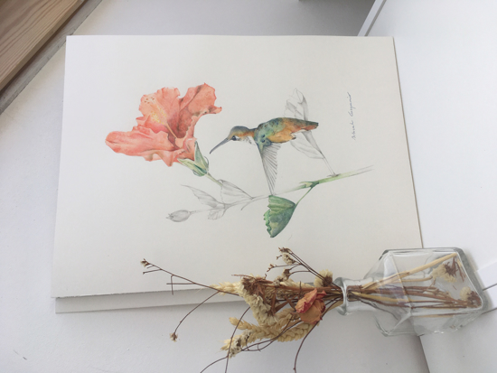 Immagine di Venduto - Colibrì ed Amaryllis